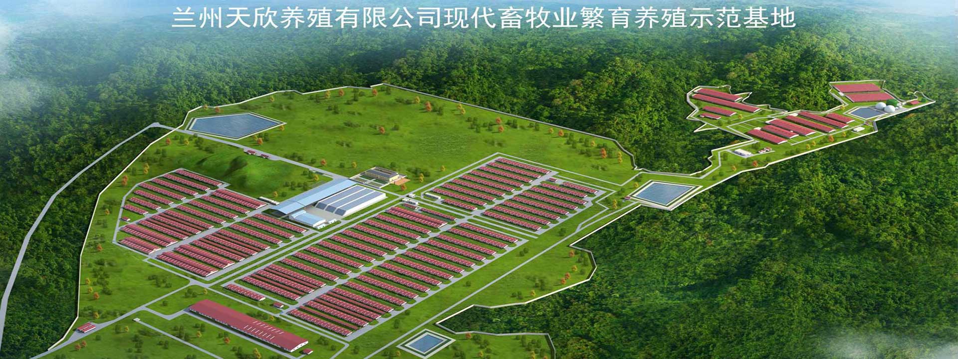 甘肅天欣農牧廠(chǎng)區